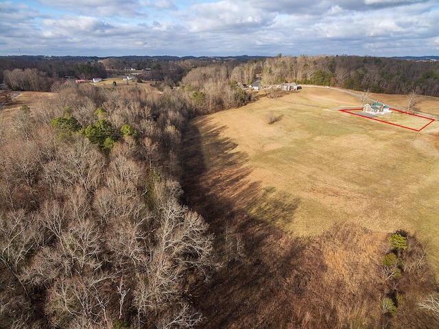 364 River Pointe Dr, Greeneville, TN 37743 - photo 33
