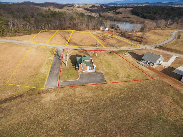 364 River Pointe Dr, Greeneville, TN 37743 - photo 35