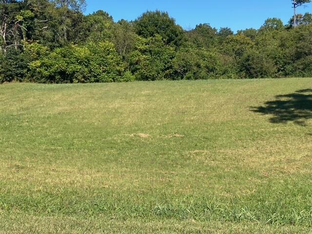 LOT58 River Pointe Dr, Greeneville, TN 37743 - photo 6