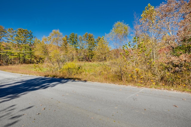 LOT18 Colten Ct, Unicoi TN, 37692 land for sale