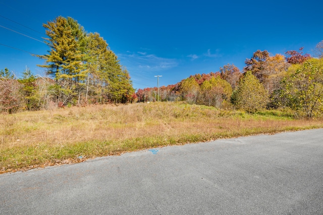 Listing photo 2 for LOT18 Colten Ct, Unicoi TN 37692