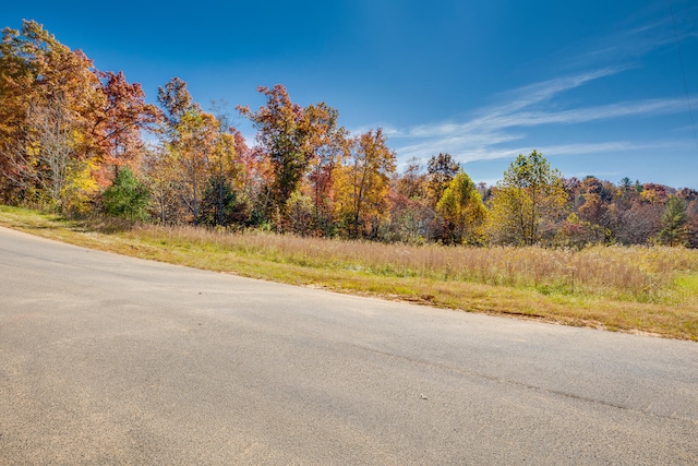 Listing photo 2 for LOT19 Homestead Dr, Unicoi TN 37692