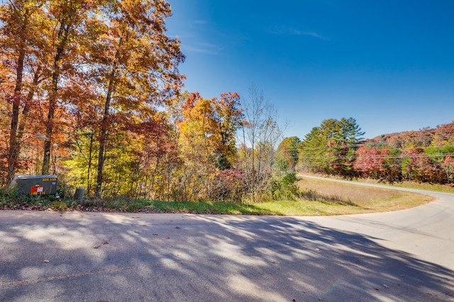 LOT19 Homestead Dr, Unicoi TN, 37692 land for sale