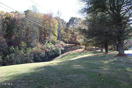 235 Fisher Rd, Jonesville, VA 24263 - photo 106