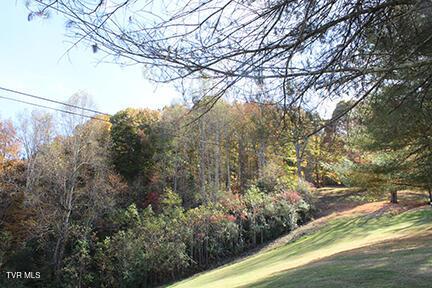 235 Fisher Rd, Jonesville, VA 24263 - photo 107
