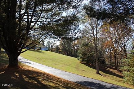 235 Fisher Rd, Jonesville, VA 24263 - photo 110