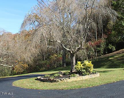235 Fisher Rd, Jonesville, VA 24263 - photo 117