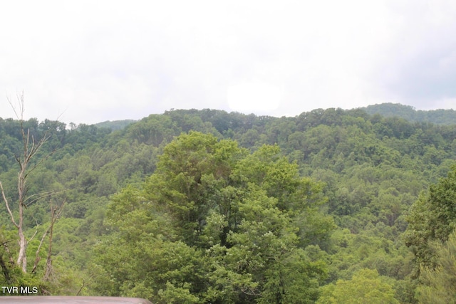 235 Fisher Rd, Jonesville, VA 24263 - photo 87