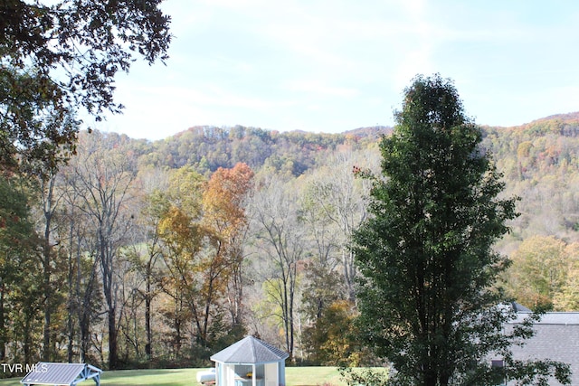 235 Fisher Rd, Jonesville, VA 24263 - photo 133