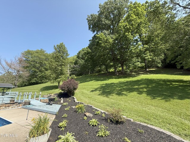 235 Fisher Rd, Jonesville, VA 24263 - photo 140