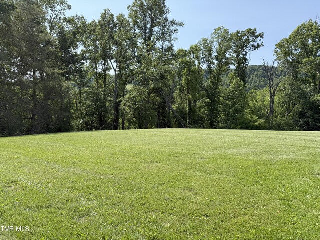 235 Fisher Rd, Jonesville, VA 24263 - photo 142