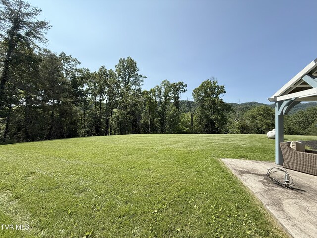 235 Fisher Rd, Jonesville, VA 24263 - photo 143