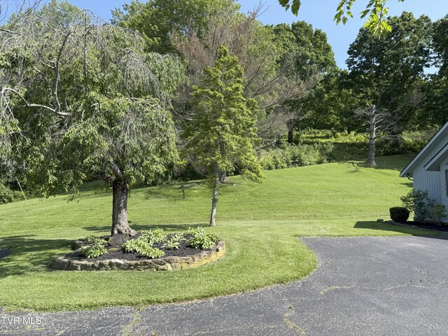 235 Fisher Rd, Jonesville, VA 24263 - photo 148