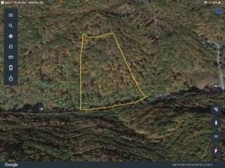 TBD Big Branch Rd, Saint Charles VA, 24282 land for sale