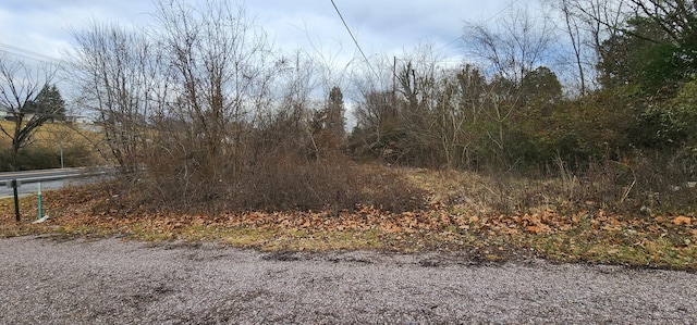 1910 Main St, Surgoinsville TN, 37873 land for sale