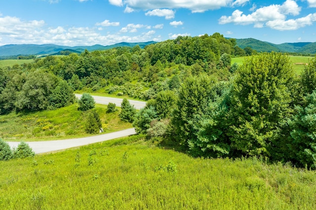 Listing photo 2 for LOT53 Laurel Way, Mountain City TN 37683