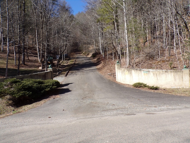 TBD Banjo Ridge Rd, Butler TN, 37640 land for sale