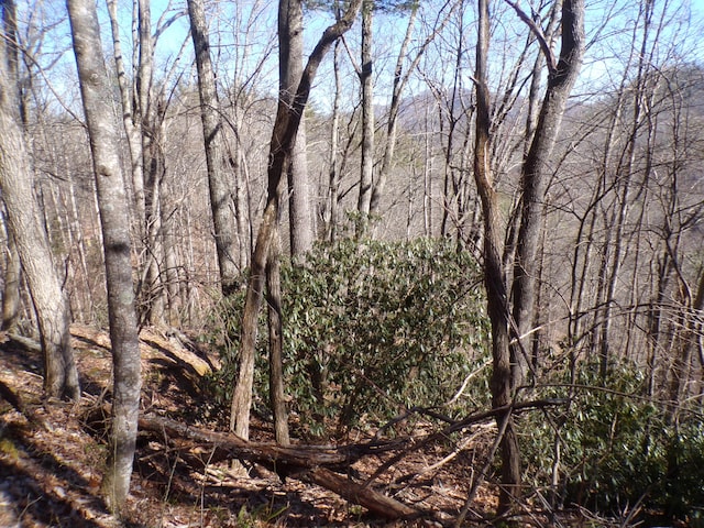 Listing photo 2 for TBD Banjo Ridge Rd, Butler TN 37640