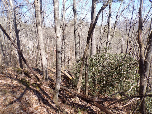 Listing photo 3 for TBD Banjo Ridge Rd, Butler TN 37640