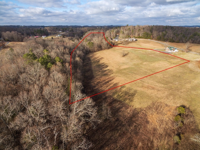48 River Pointe Dr, Greeneville, TN 37743 - photo 8