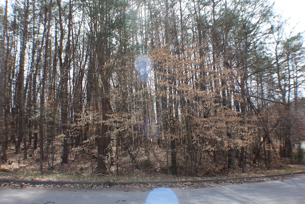 2030 Scenic Pointe Pl, Church Hill, TN 37642 - photo 2