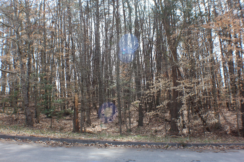 2030 Scenic Pointe Pl, Church Hill, TN 37642 - photo 3