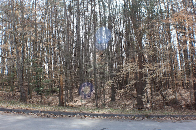 2030 Scenic Pointe Pl, Church Hill, TN 37642 - photo 3