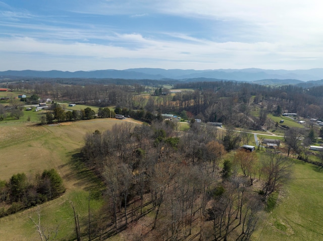 birds eye view of property featuring a mountain view and a rural view