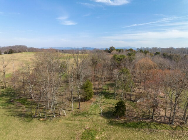 view of local wilderness with a rural view