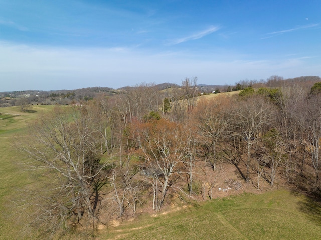 view of local wilderness