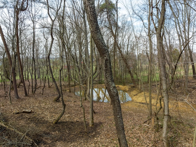 view of yard featuring a water view