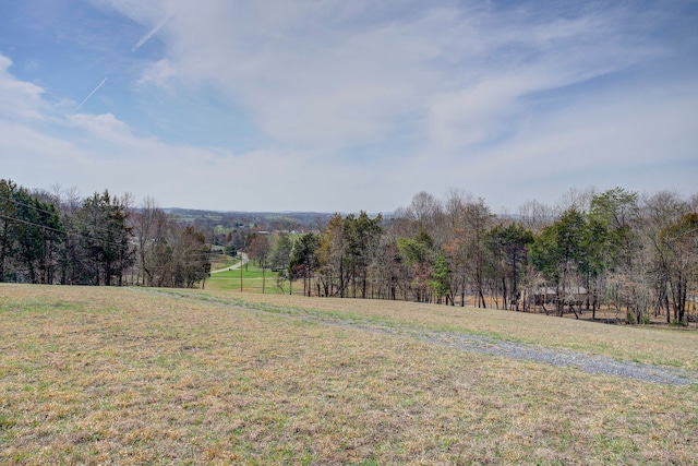 view of yard with a rural view