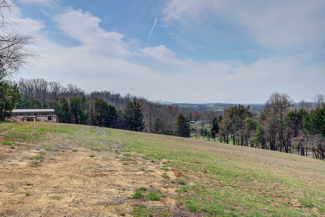 view of yard featuring a rural view