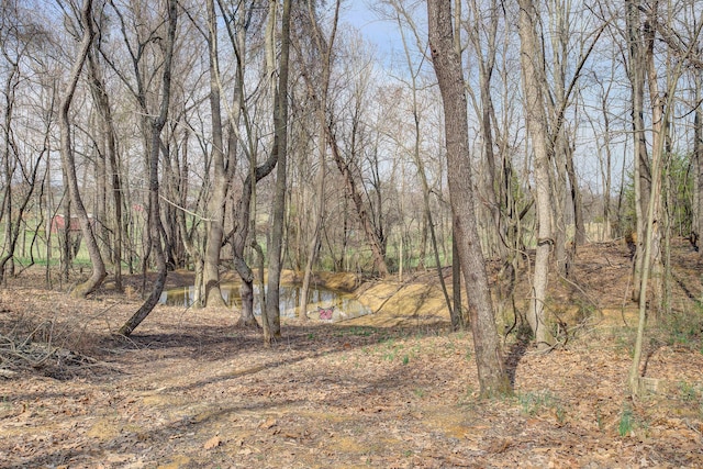 view of local wilderness featuring a water view