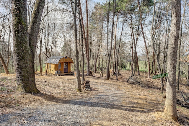 view of yard with a shed