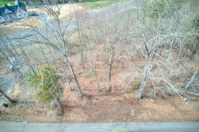 TBDLOT40 N Central Ave, Church Hill, TN 37642