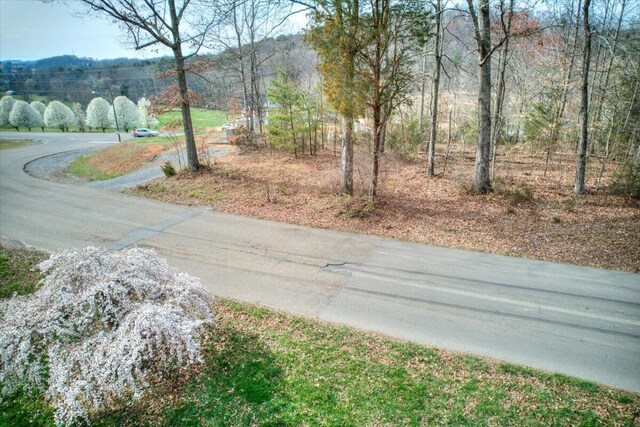 TBDLOT40 N Central Ave, Church Hill, TN 37642