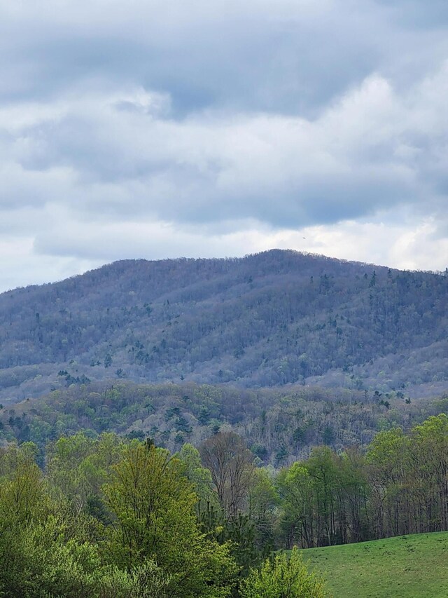 TBD Laurelwood Ln, Mountain City, TN 37683 - photo 7