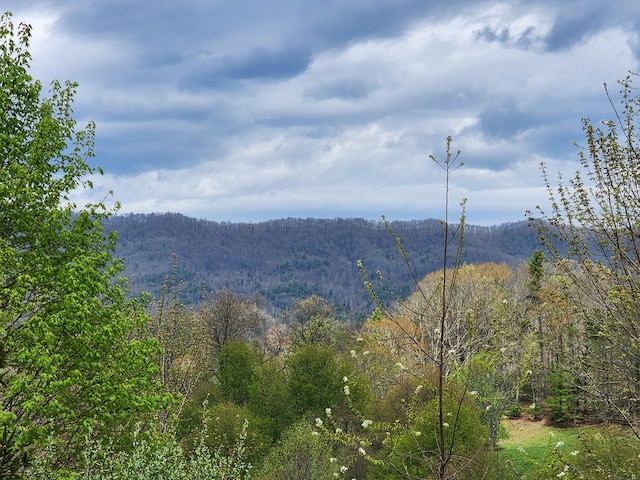 TBD Laurelwood Ln, Mountain City, TN 37683 - photo 8