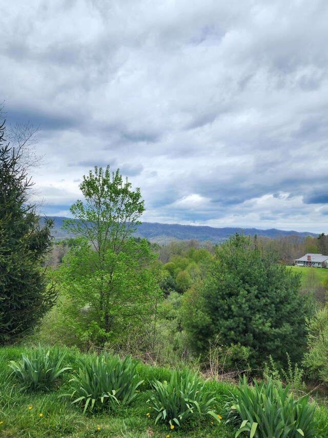 TBD Laurelwood Ln, Mountain City, TN 37683 - photo 9