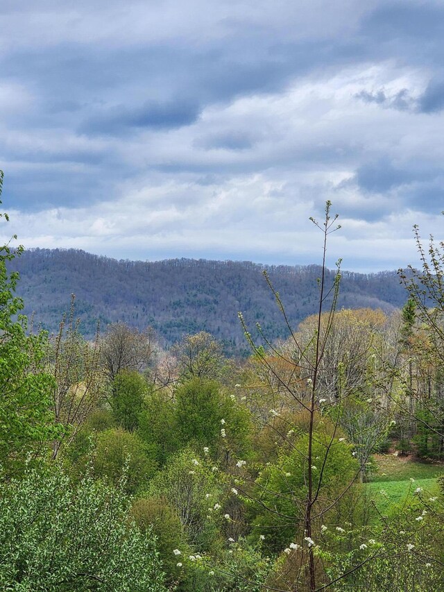 TBD Laurelwood Ln, Mountain City, TN 37683 - photo 10