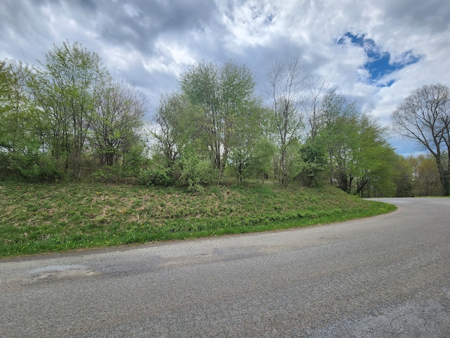 Listing photo 3 for TBD Laurelwood Ln, Mountain City TN 37683