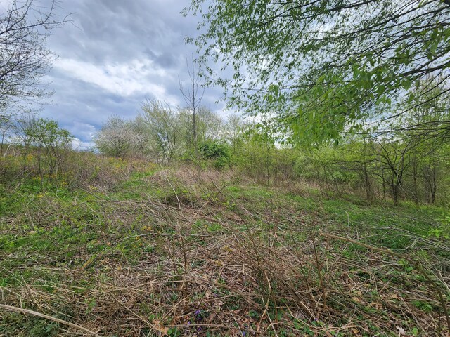 TBD Laurelwood Ln, Mountain City, TN 37683 - photo 12