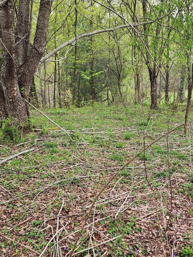 TBD Laurelwood Ln, Mountain City, TN 37683 - photo 11