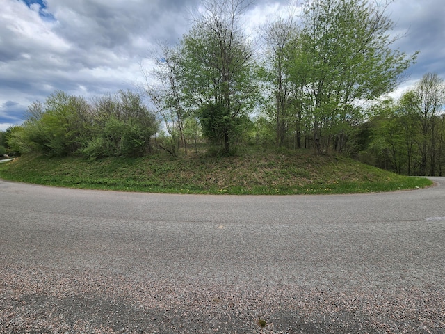 TBD Laurelwood Ln, Mountain City, TN 37683 - photo 4
