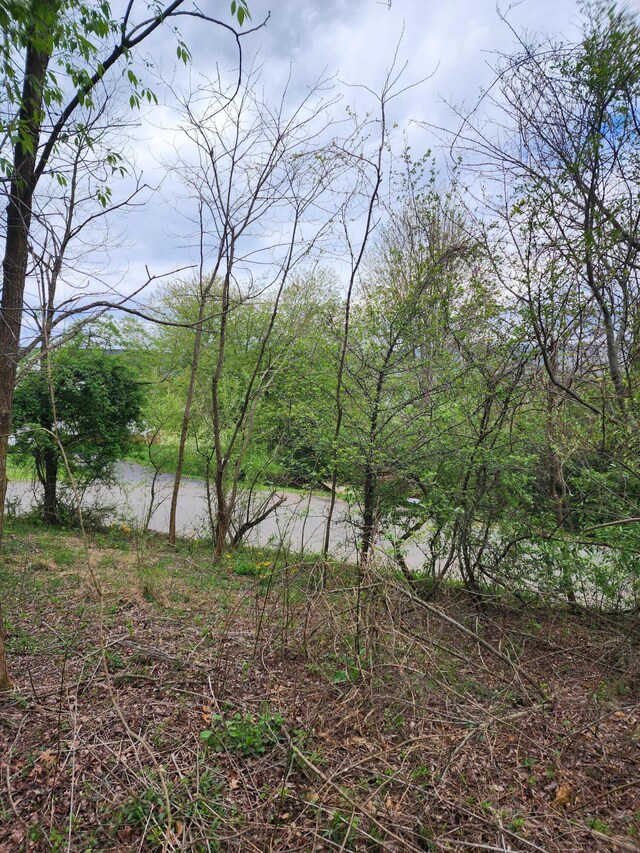 TBD Laurelwood Ln, Mountain City, TN 37683 - photo 14