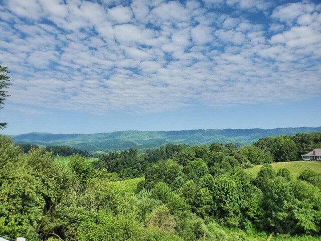 TBD Laurelwood Ln, Mountain City, TN 37683 - photo 15