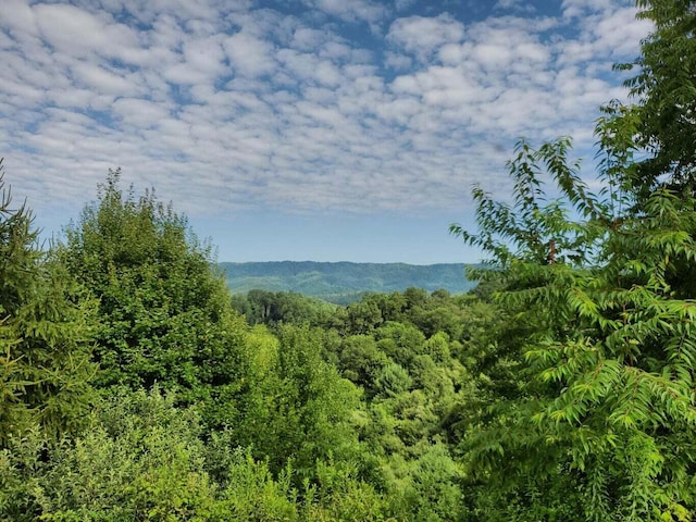 Listing photo 2 for TBD Laurelwood Ln, Mountain City TN 37683