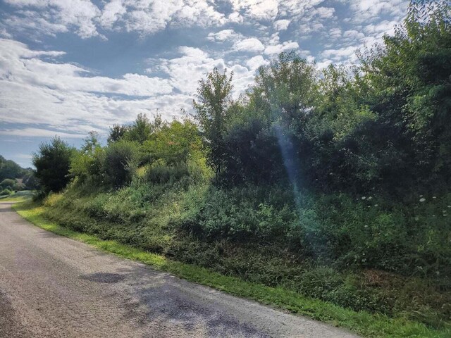 TBD Laurelwood Ln, Mountain City, TN 37683 - photo 20