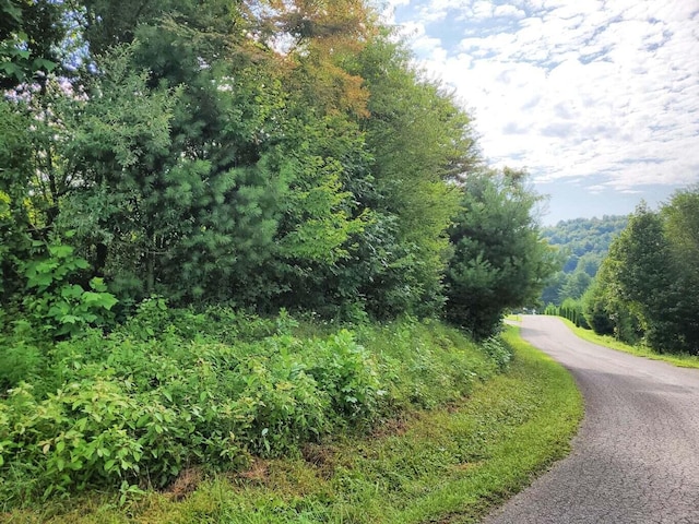 TBD Laurelwood Ln, Mountain City, TN 37683 - photo 21